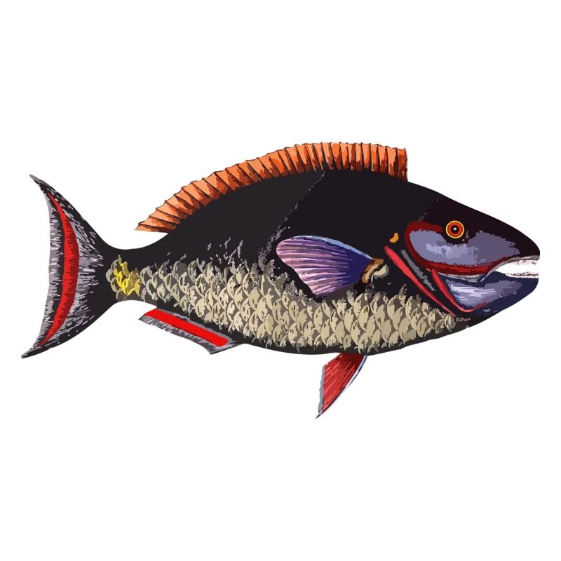 fish