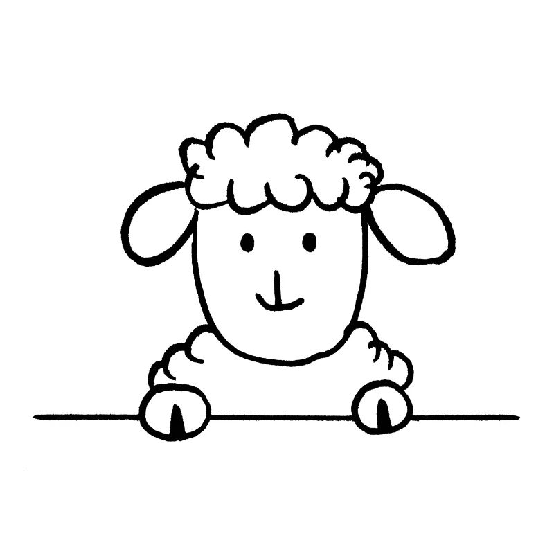 sir sheep