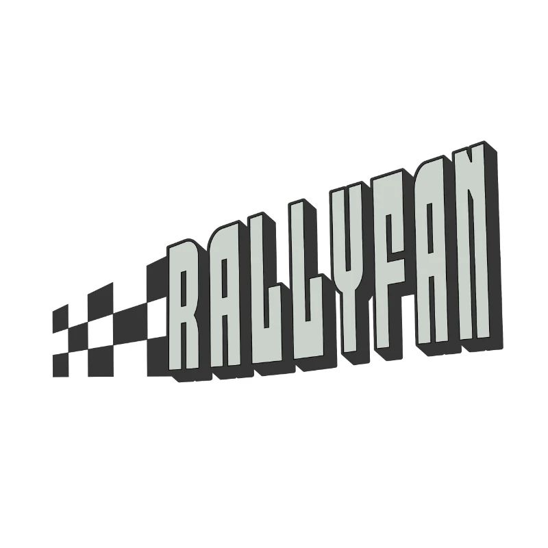 Rallyfan silber schwarz
