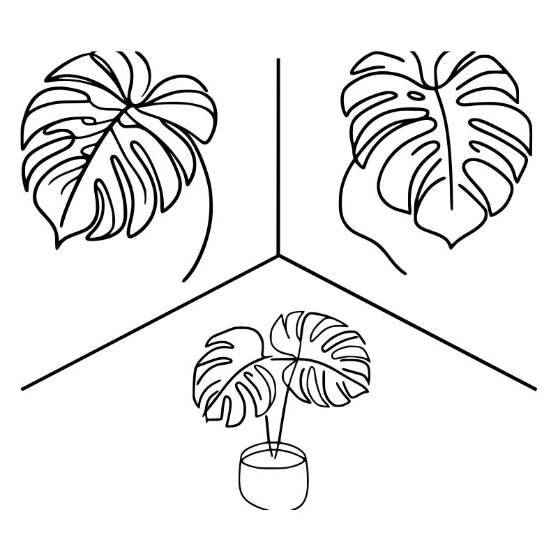 Monstera Design