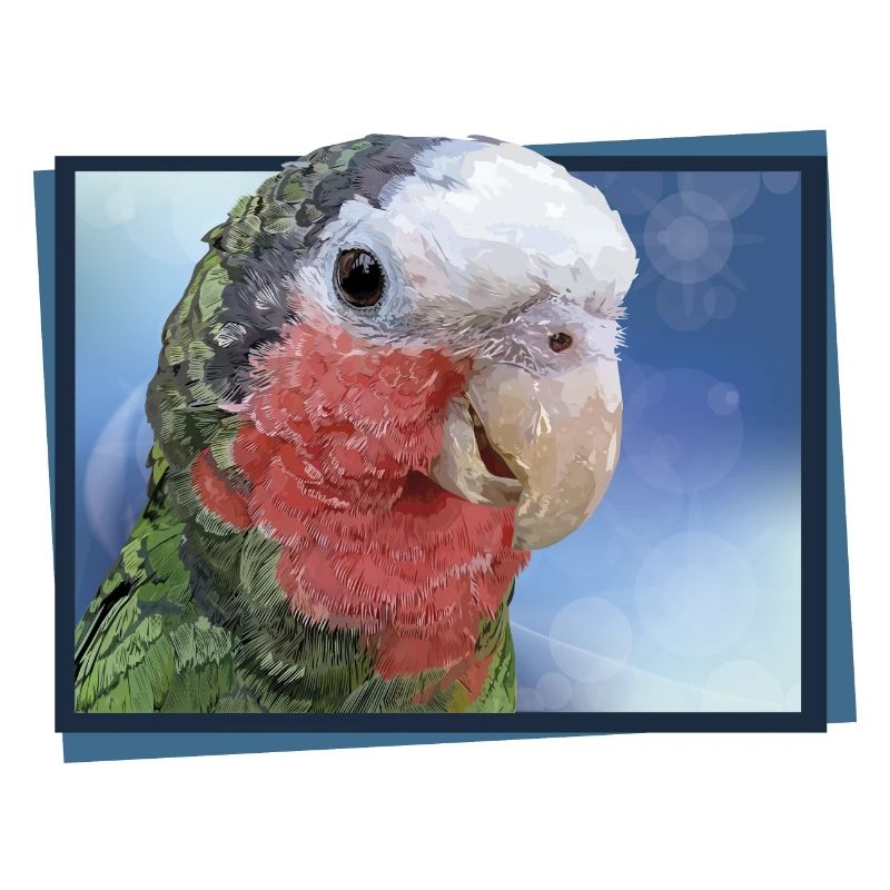 The Cuban Amazon