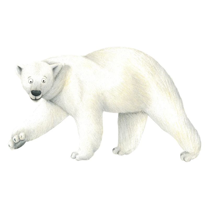 Icebear