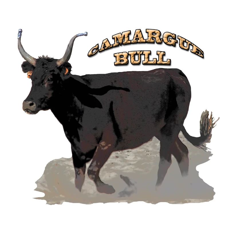 Taureau de Camargue