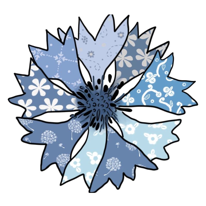 bunte_Kornblume