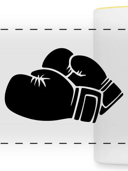 Boxhandschuhe