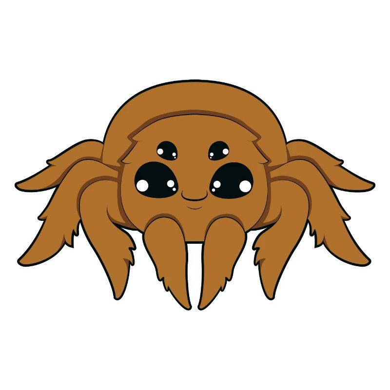 spider