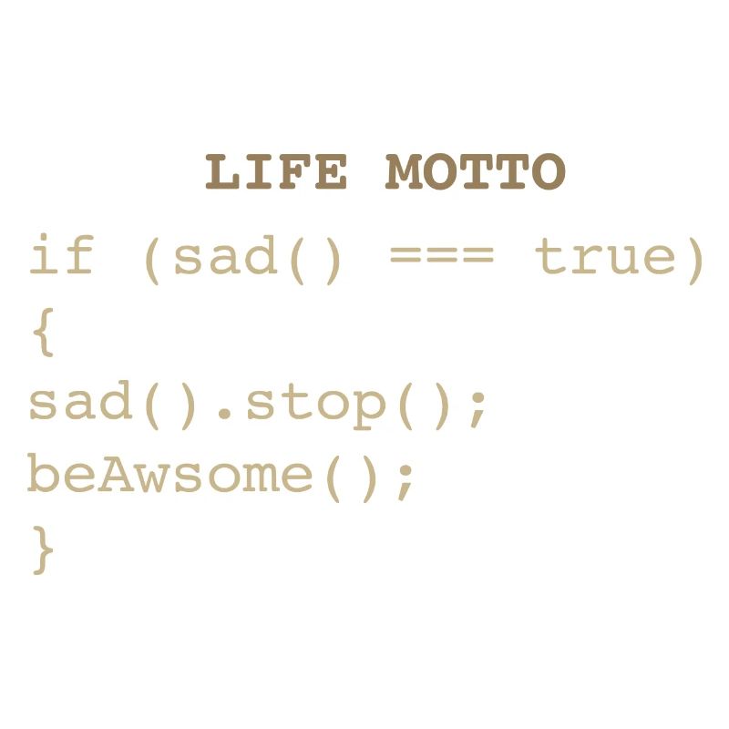 Developer IT Life Motto