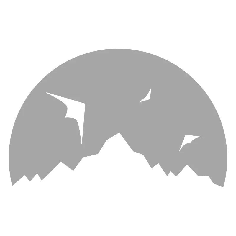 Lenkdrachen