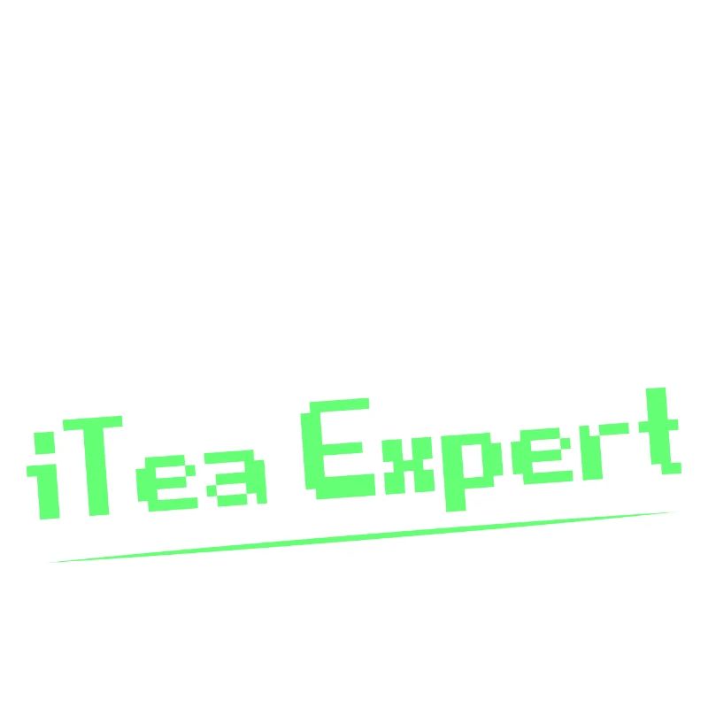 Codage du logiciel iTea Expert