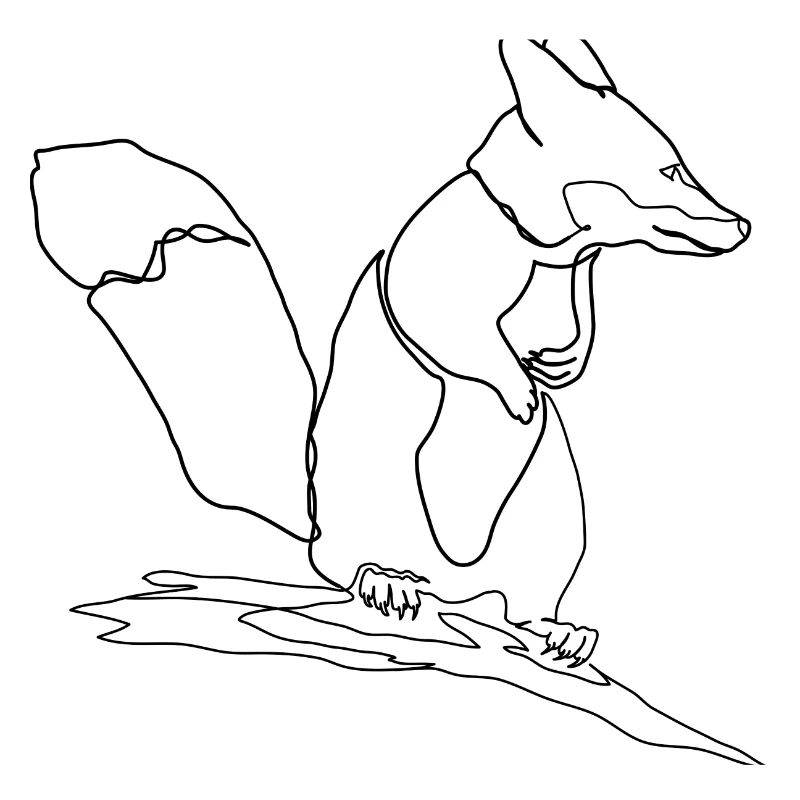 Fuchs Eichhörnchen Squirrel Fox