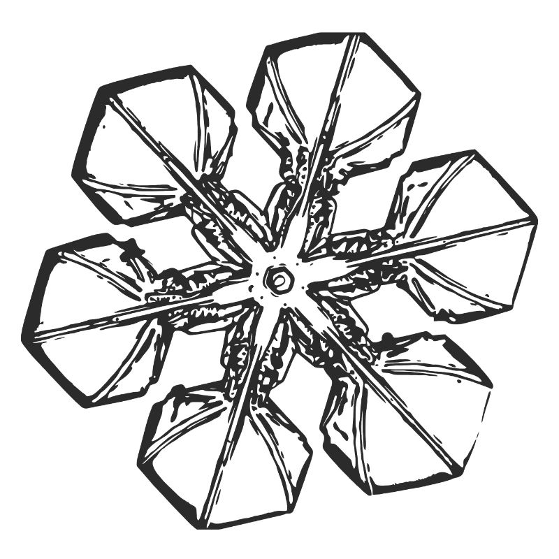 snowflake 2 black