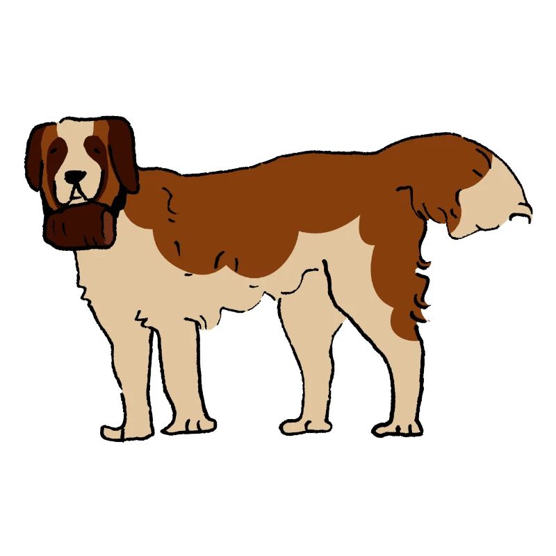 Saint Bernard
