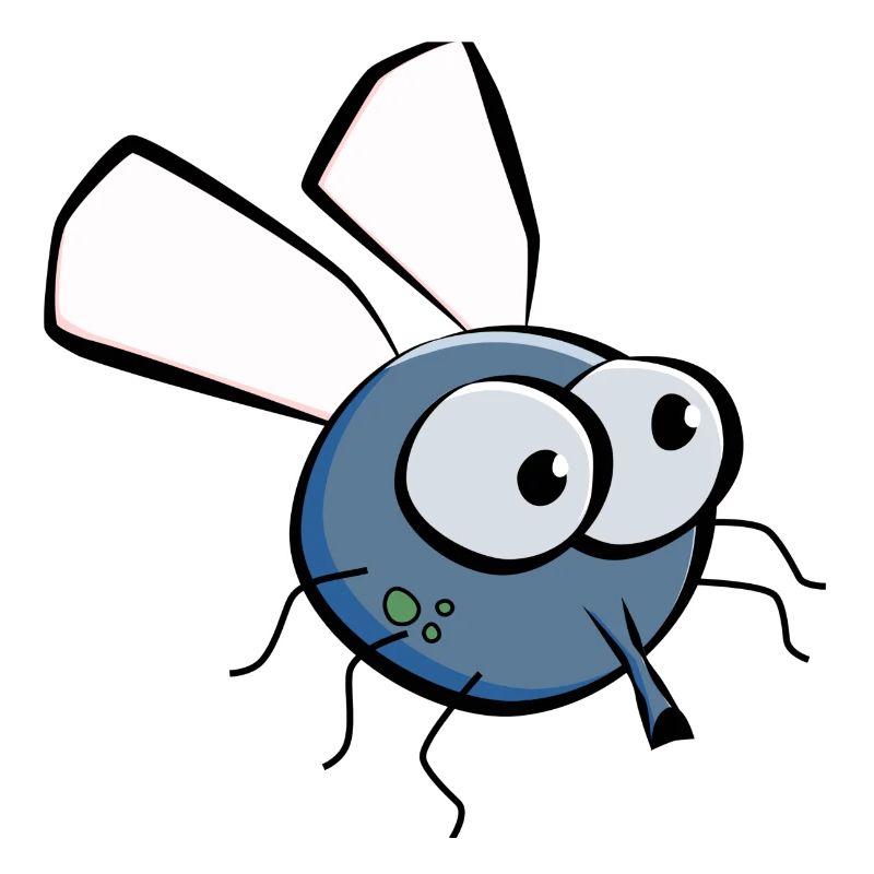 Fly