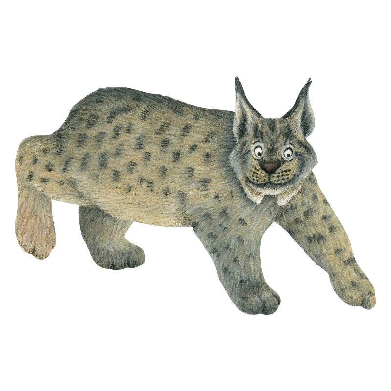luchs
