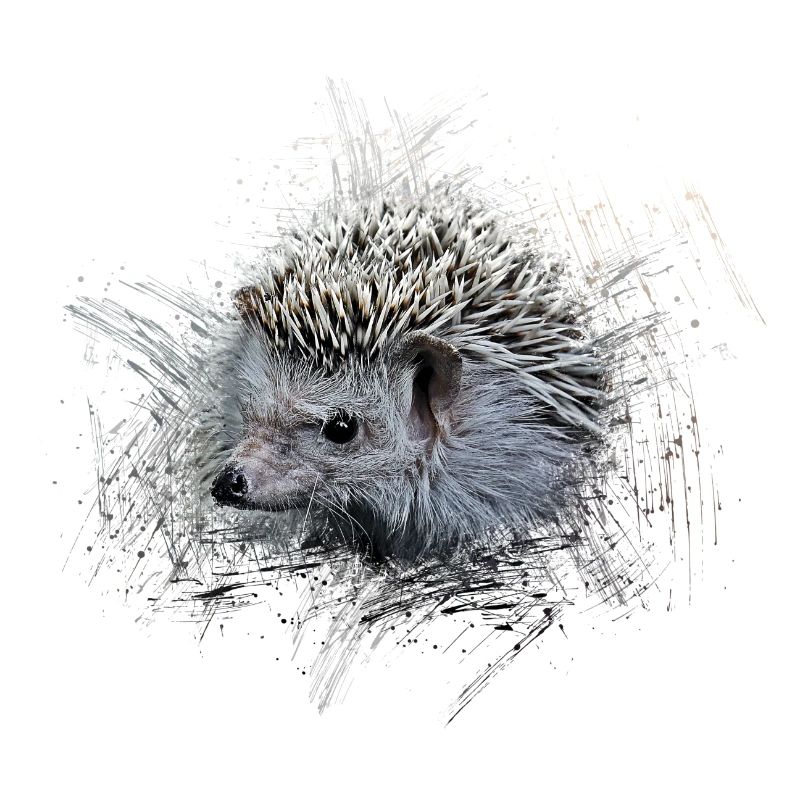 Hérisson