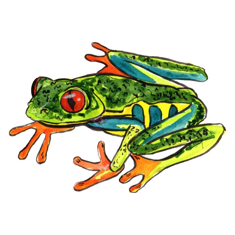 Frog