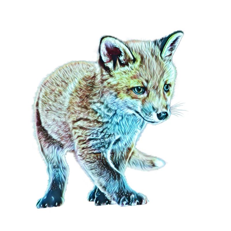 Fuchs