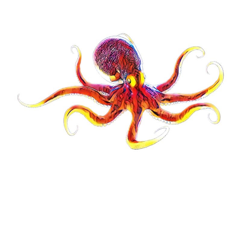 Octopus
