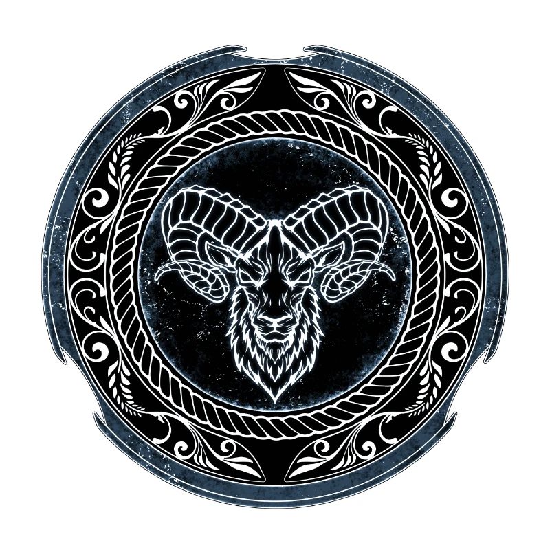 Viking Aries Aries