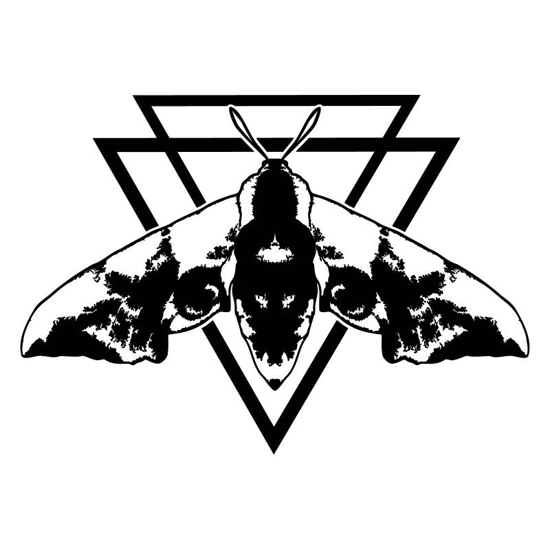 Moth