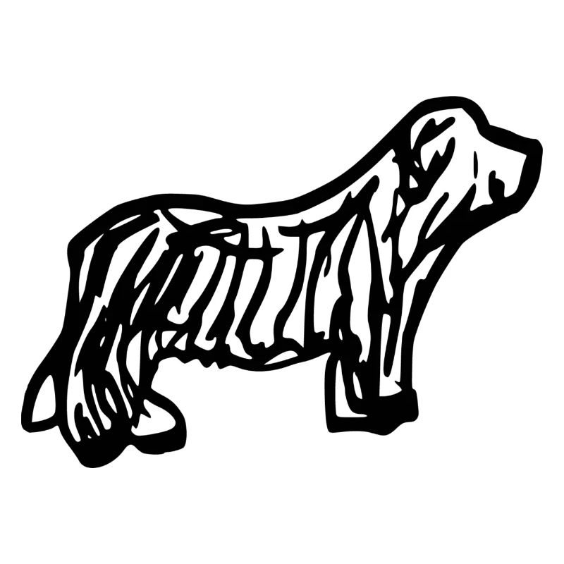 Bearded Collie