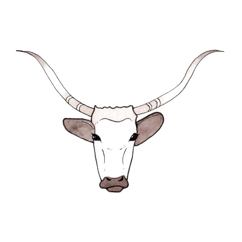 Bull