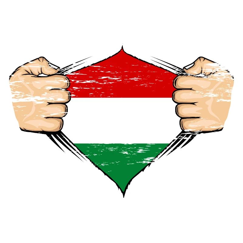 Drapeau de la Hongrie utilisé