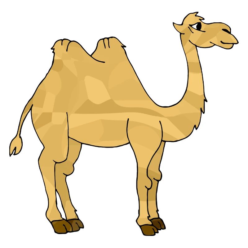 Kamel