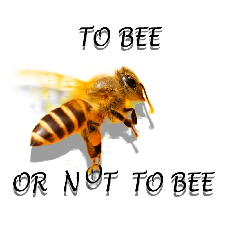 Biene sein oder nicht