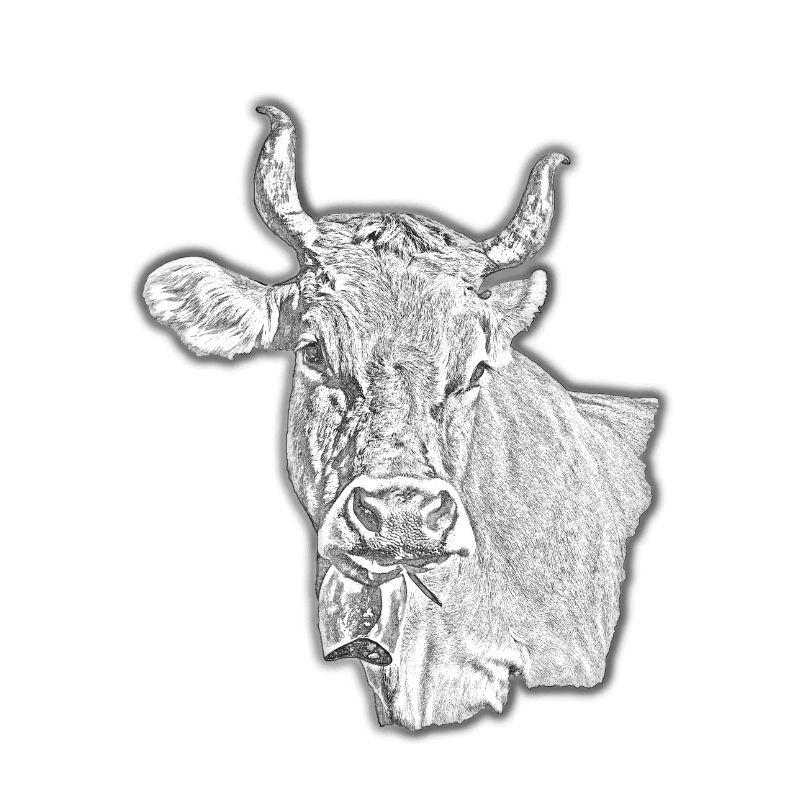 Vache crayon