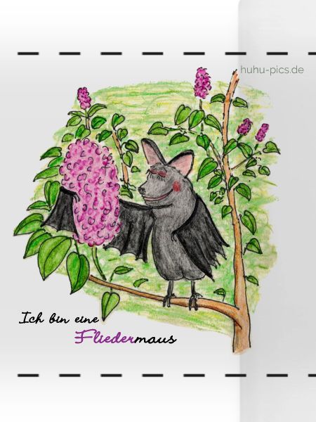 Fliedermaus