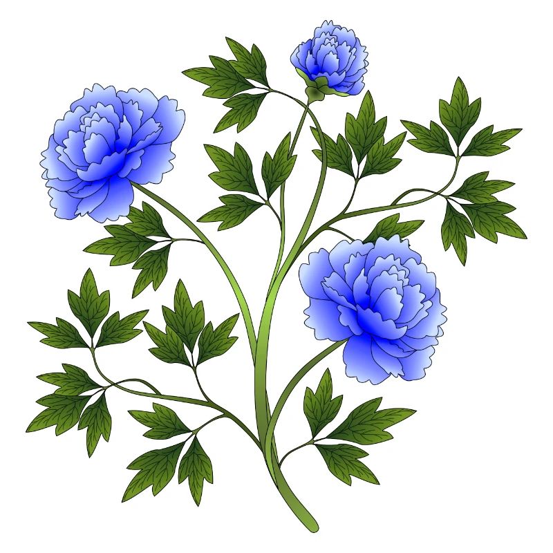 fleurs