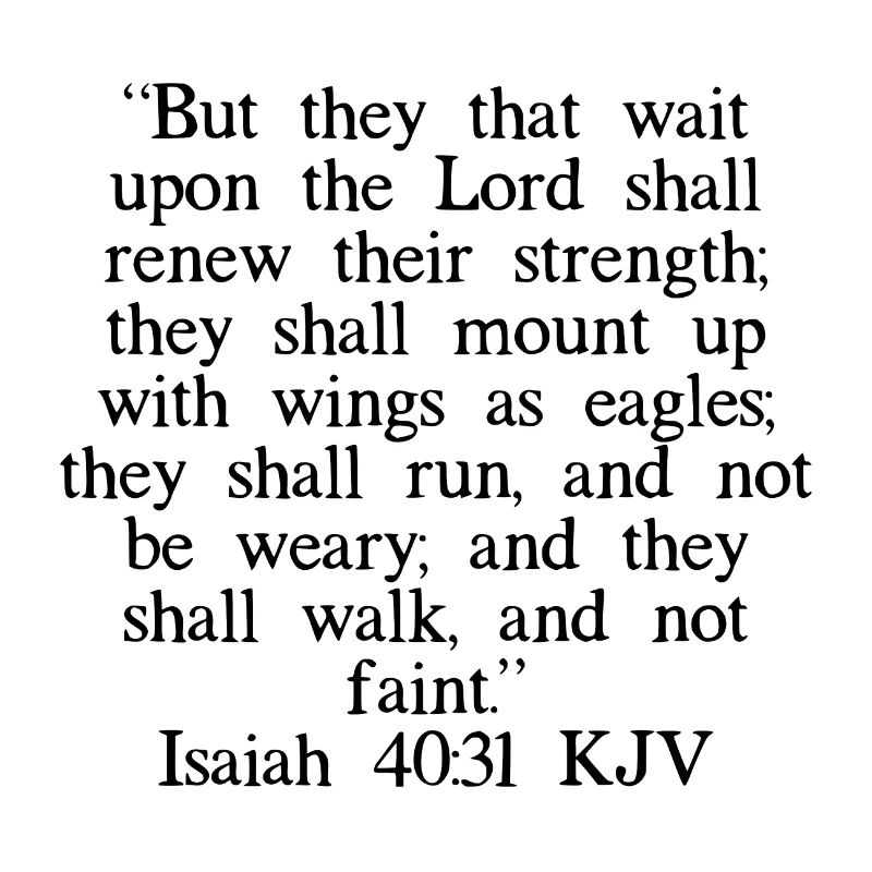 Isaiah 40:31 KJV