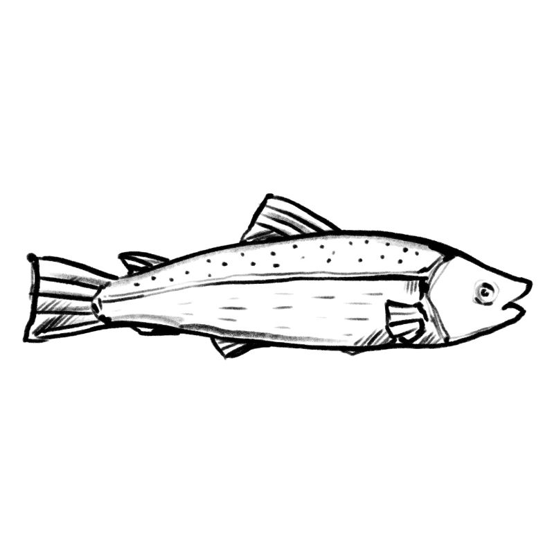 A fish (hand-drawn)