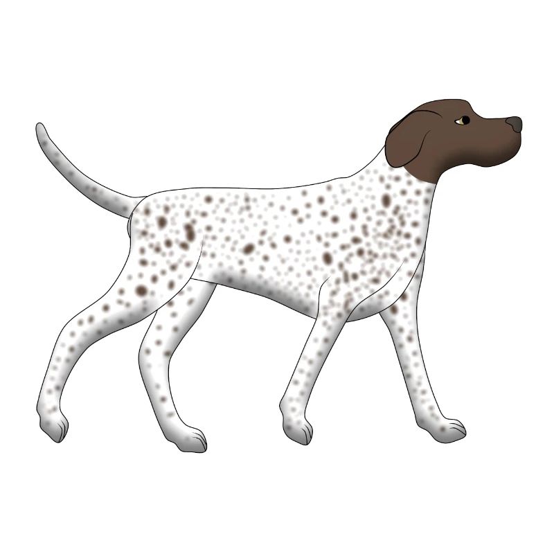 Pointer rennt
