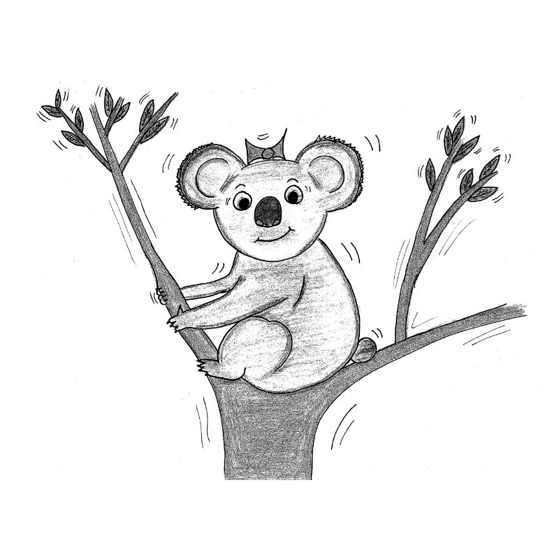 koala