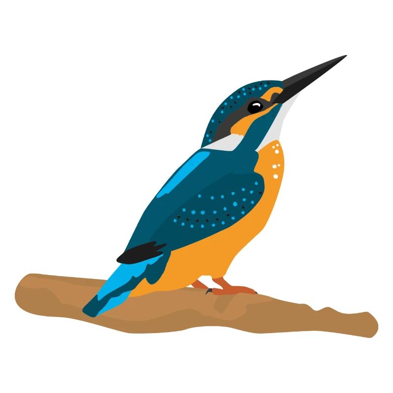 Kingfisher
