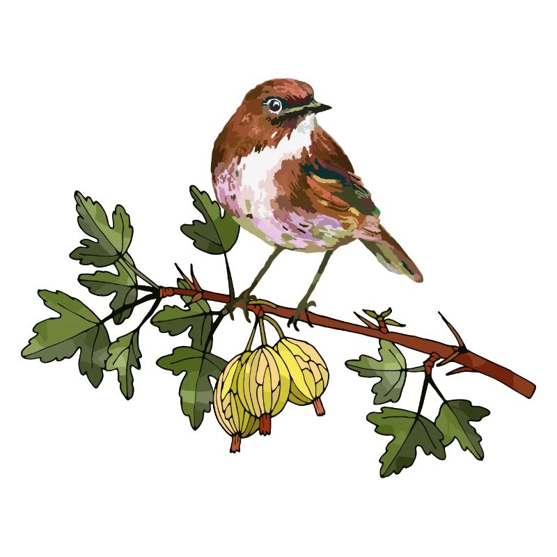 Bunter Vogel
