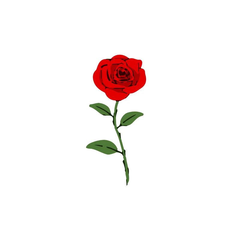 redrose