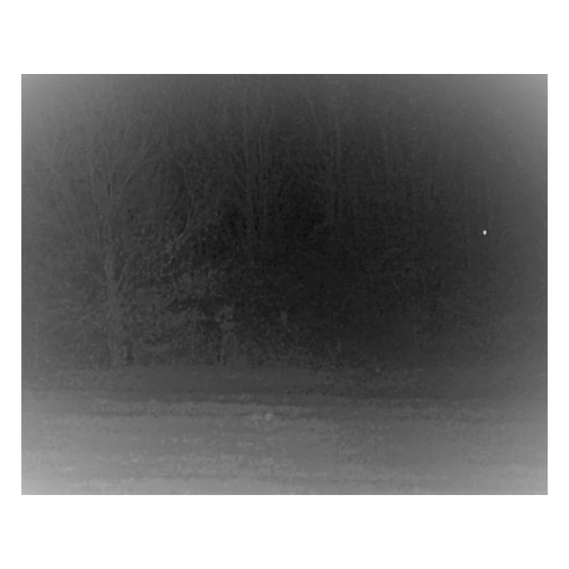 Creepy creature in the forest