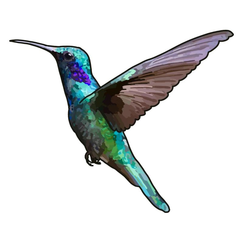 Hummingbird