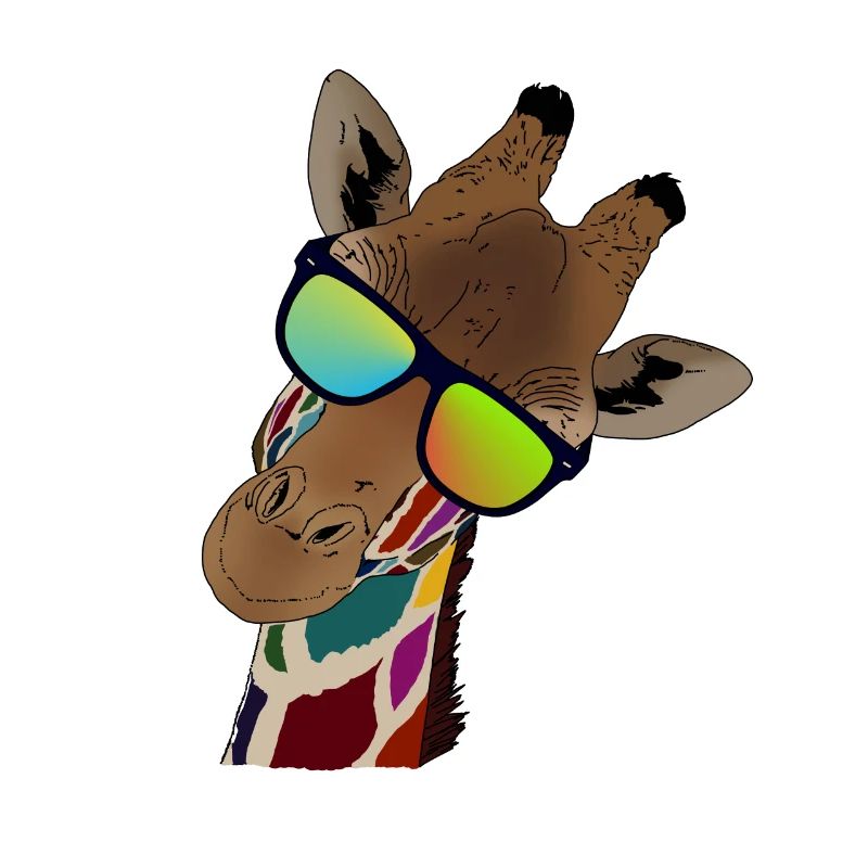Rainbow giraffe with sun glasses gift idea