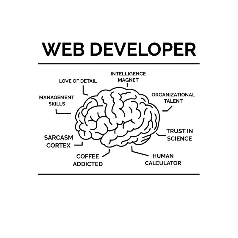 Web Developer Programmer