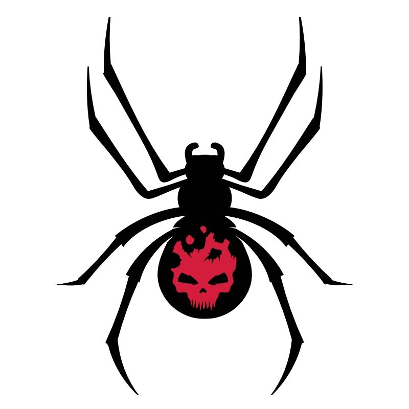 A black spider with red skull