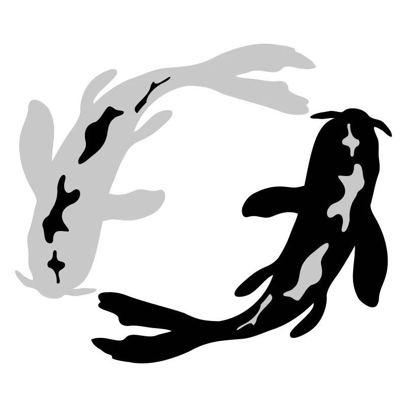 Conception koi du comté de Nishikigoi