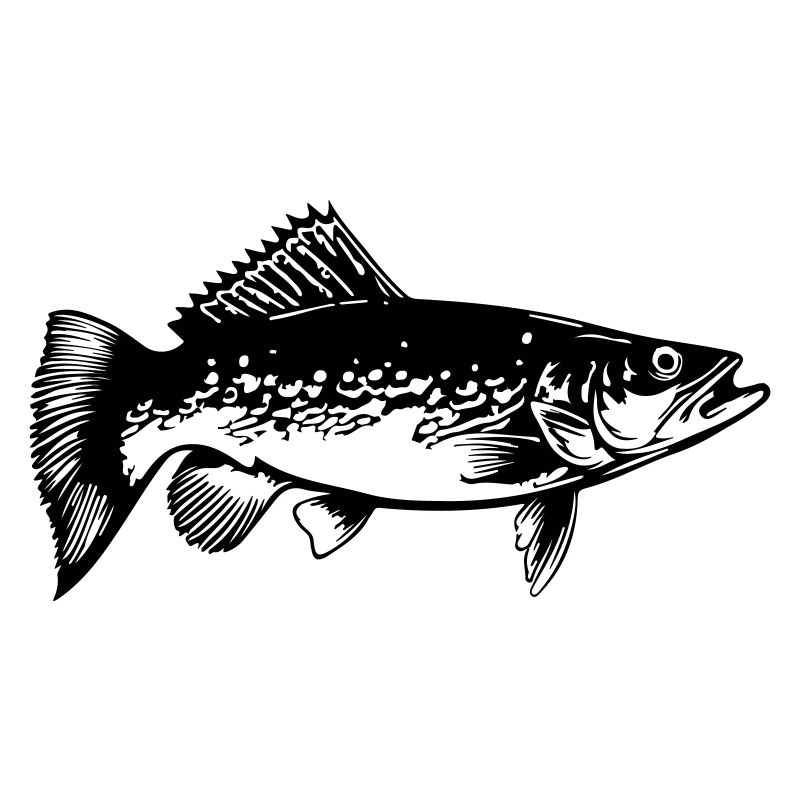 Pike Fish Silhouette