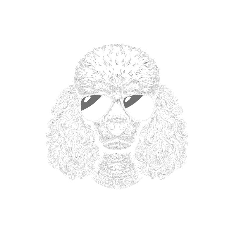 Poodle Dad
