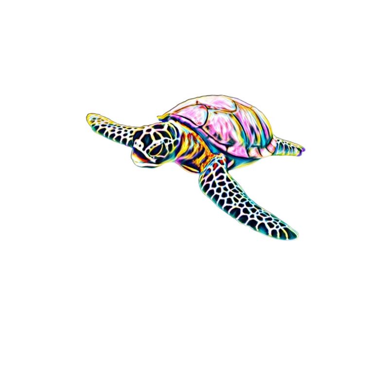 Sea turtle