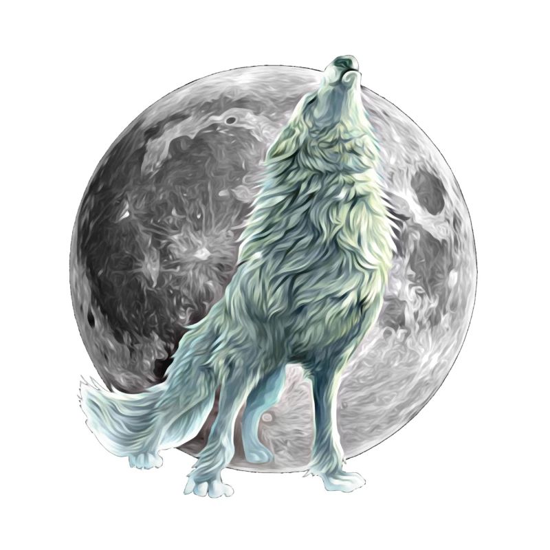 wolf