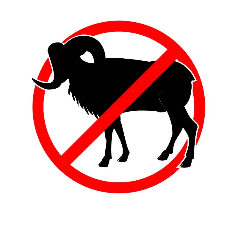 Ziegen oder Mufflons verboten - Ziege